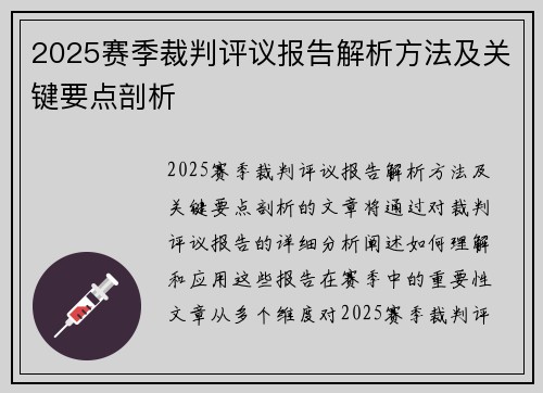 2025赛季裁判评议报告解析方法及关键要点剖析