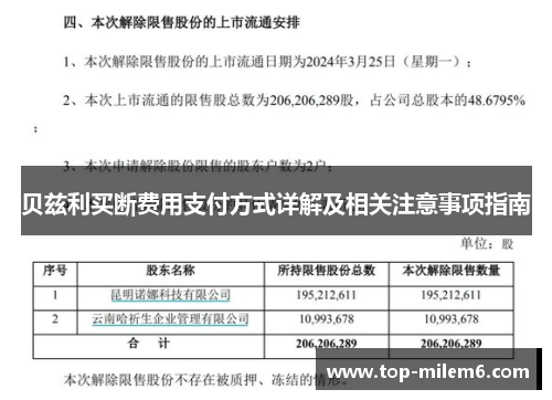 贝兹利买断费用支付方式详解及相关注意事项指南 贝兹利买断费用支付方式详解及相关注意事项指南