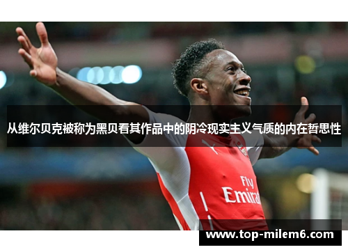 从维尔贝克被称为黑贝看其作品中的阴冷现实主义气质的内在哲思性