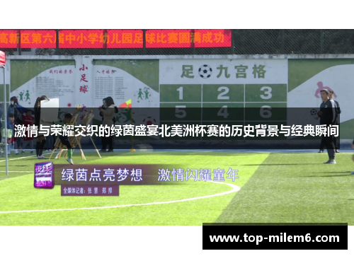 激情与荣耀交织的绿茵盛宴北美洲杯赛的历史背景与经典瞬间 激情与荣耀交织的绿茵盛宴北美洲杯赛的历史背景与经典瞬间