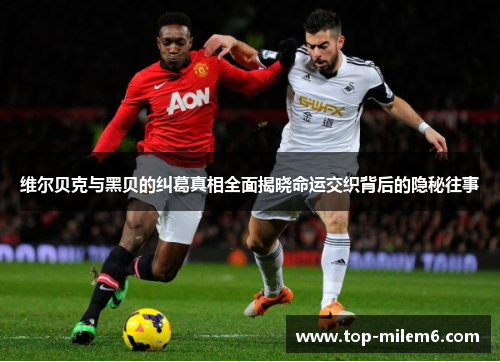 维尔贝克与黑贝的纠葛真相全面揭晓命运交织背后的隐秘往事