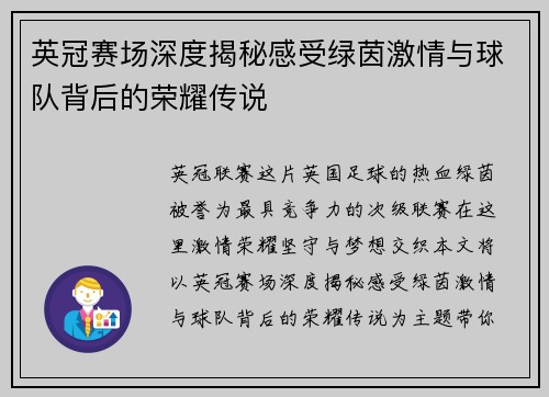 英冠赛场深度揭秘感受绿茵激情与球队背后的荣耀传说 英冠赛场深度揭秘感受绿茵激情与球队背后的荣耀传说