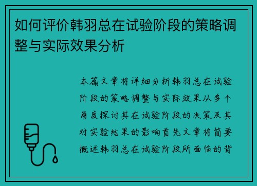 如何评价韩羽总在试验阶段的策略调整与实际效果分析